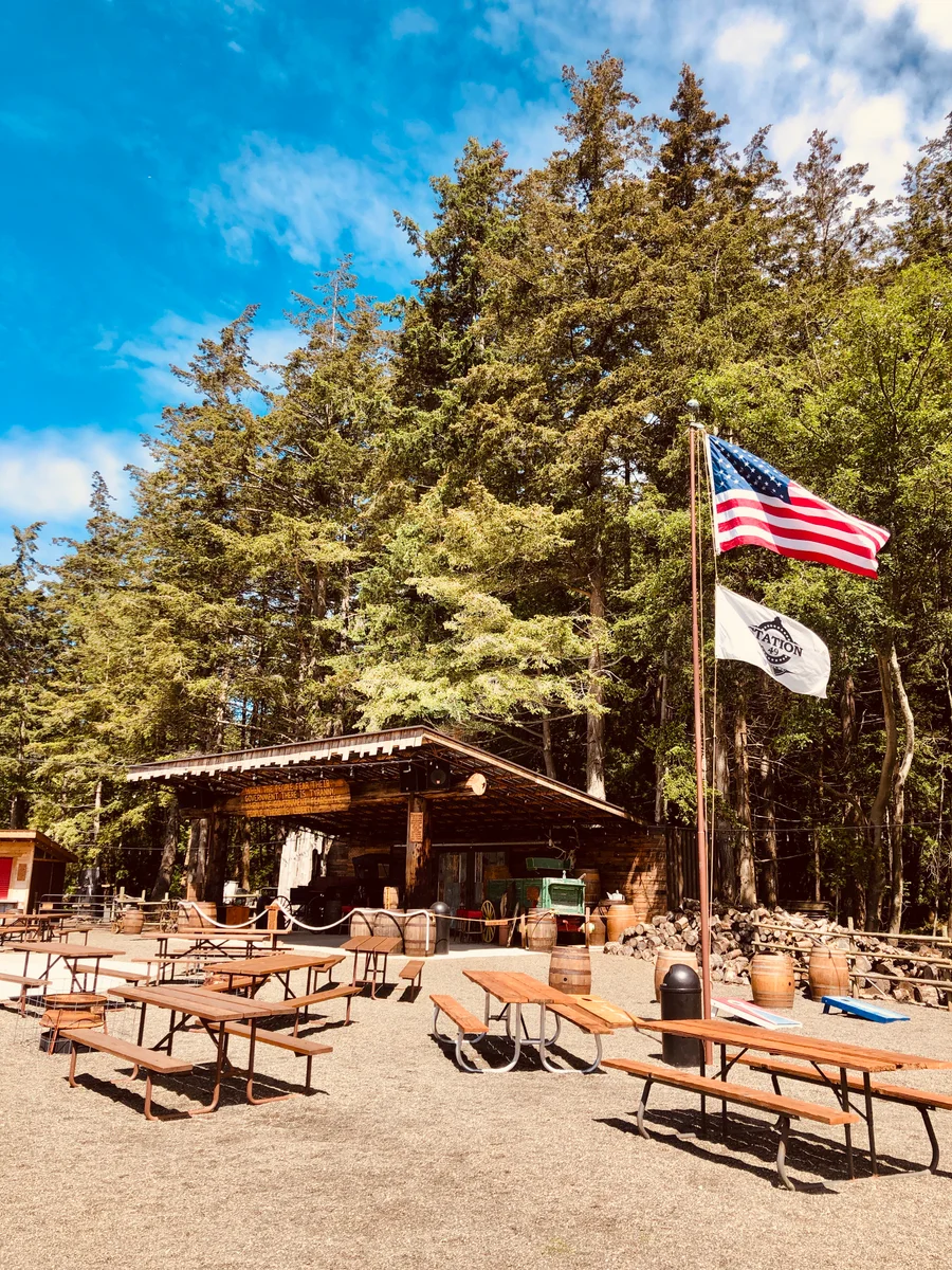 The covered stage and picnic grounds at the Station 49 Saloon, under towering trees